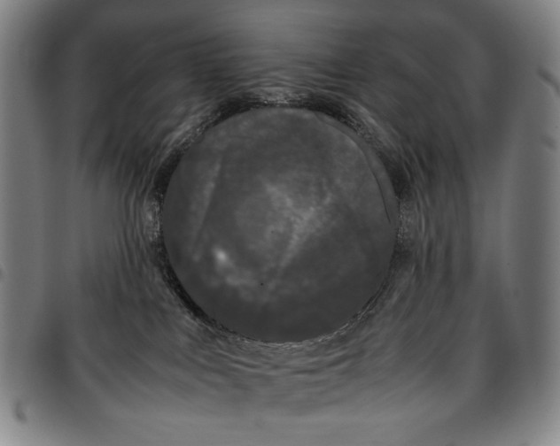 X0000096670043200802191339