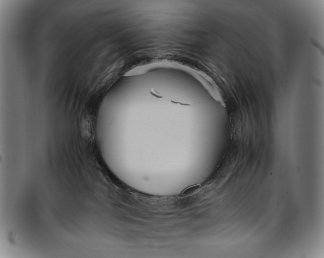 X0000096670044200802191339