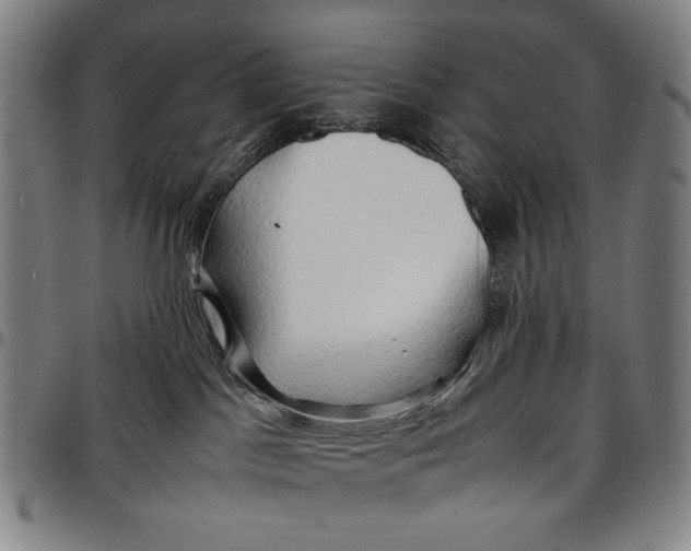 X0000096670045200802191339