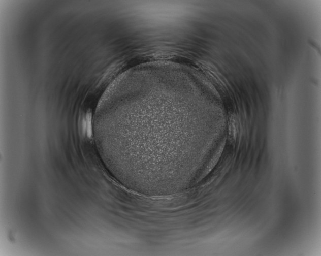 X0000096670046200802191339