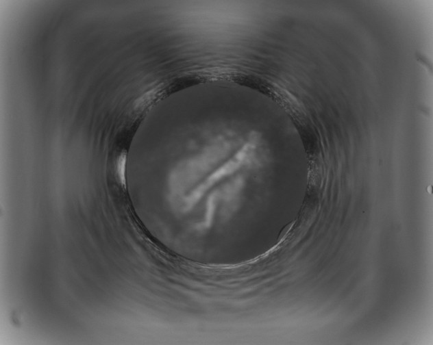 X0000096670047200802191339