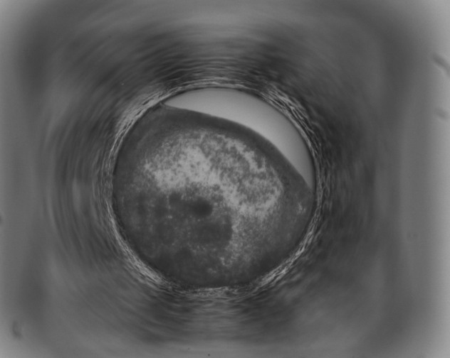 X0000096670049200802191339