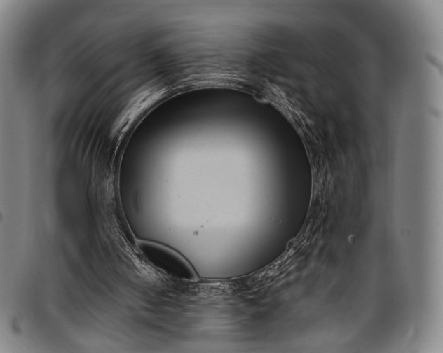 X0000096670050200802191339