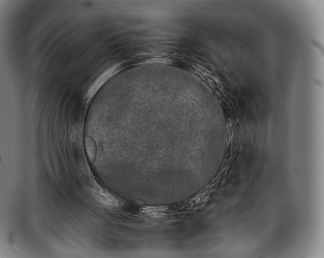 X0000096670051200802191339