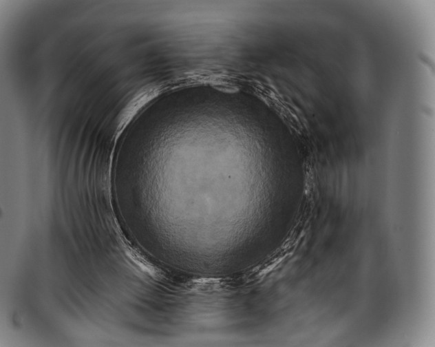 X0000096670052200802191339