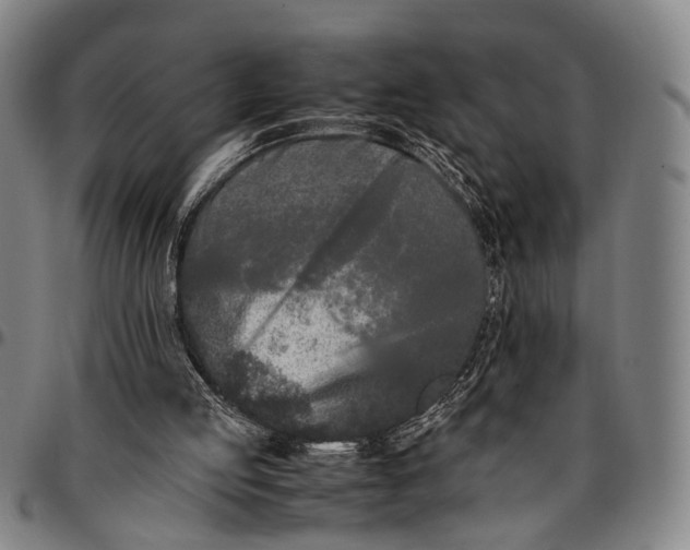 X0000096670053200802191339