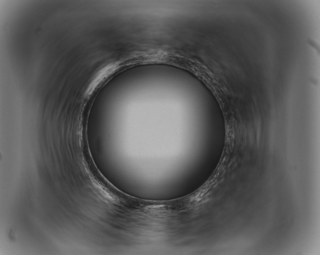 X0000096670054200802191339