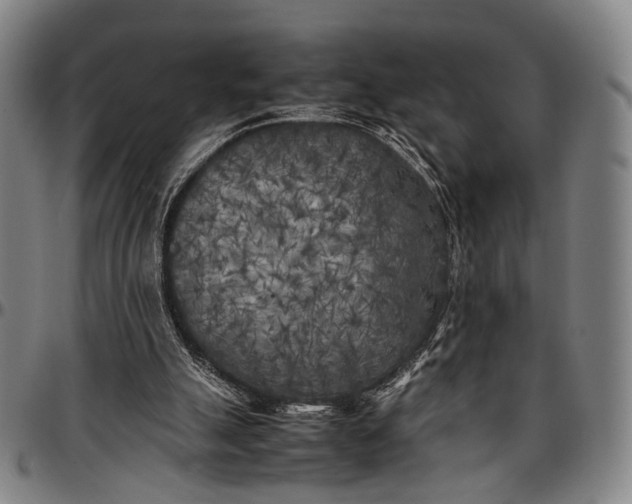 X0000096670055200802191339