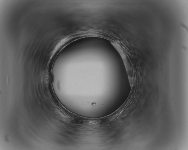 X0000096670056200802191339