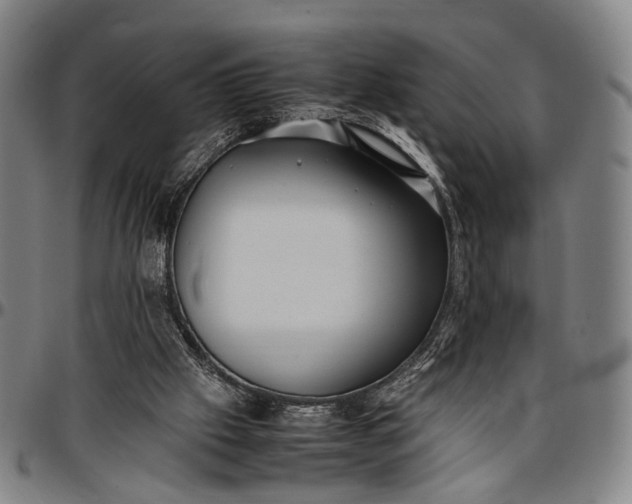 X0000096670057200802191339