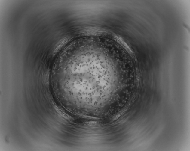 X0000096670058200802191339