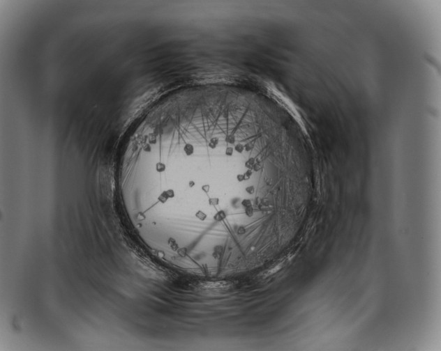 X0000096670059200802191339