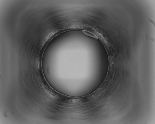 X0000096670060200802191339