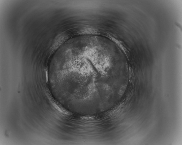 X0000096670061200802191339