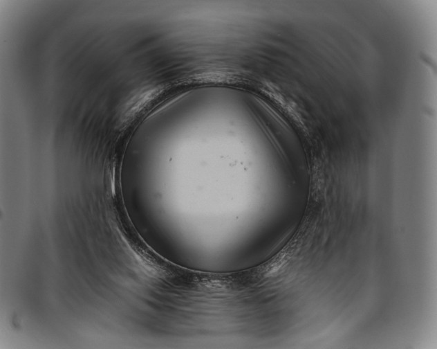 X0000096670062200802191339