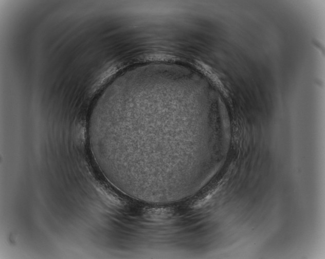 X0000096670063200802191339