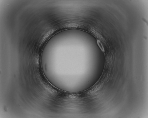 X0000096670064200802191339