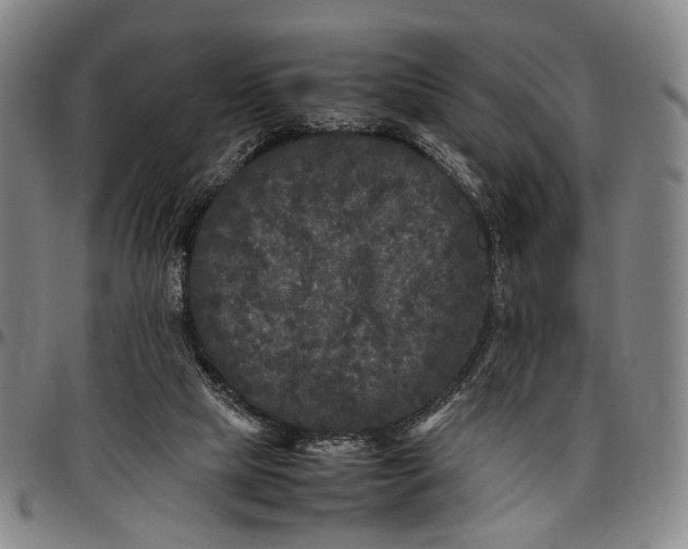 X0000096670065200802191339