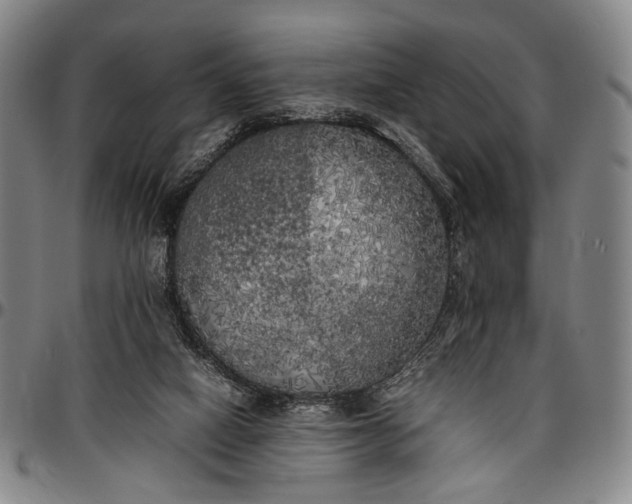 X0000096670066200802191339