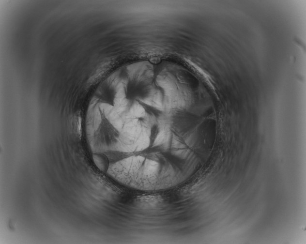 X0000096670067200802191339