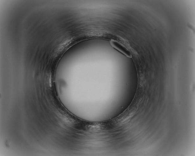 X0000096670068200802191339