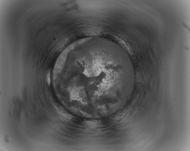 X0000096670069200802191339