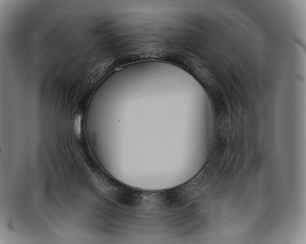 X0000096670070200802191339