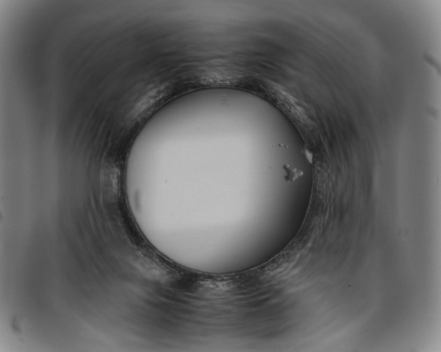 X0000096670071200802191339