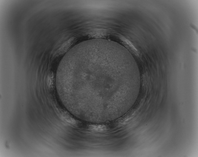 X0000096670073200802191339