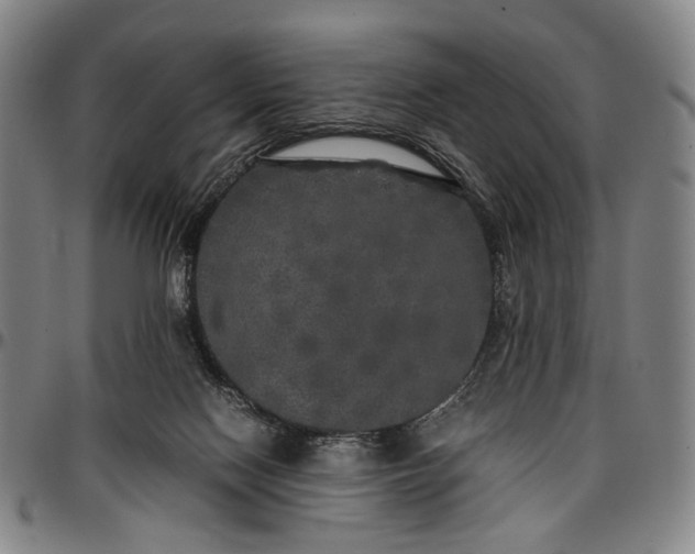 X0000096670074200802191339