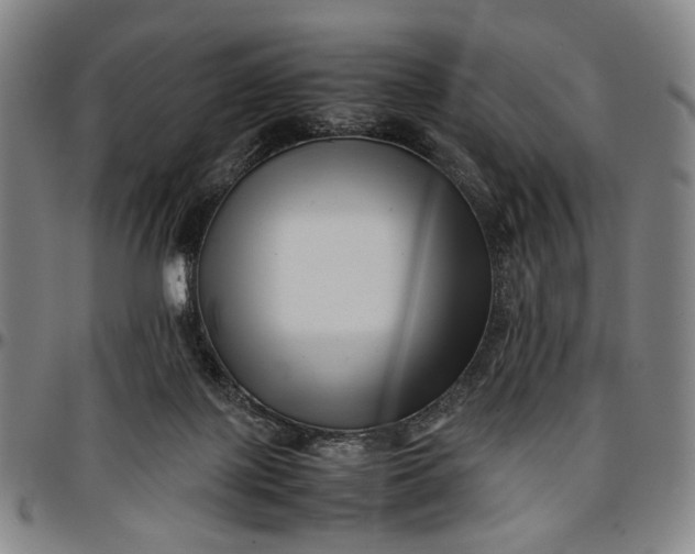 X0000096670075200802191339