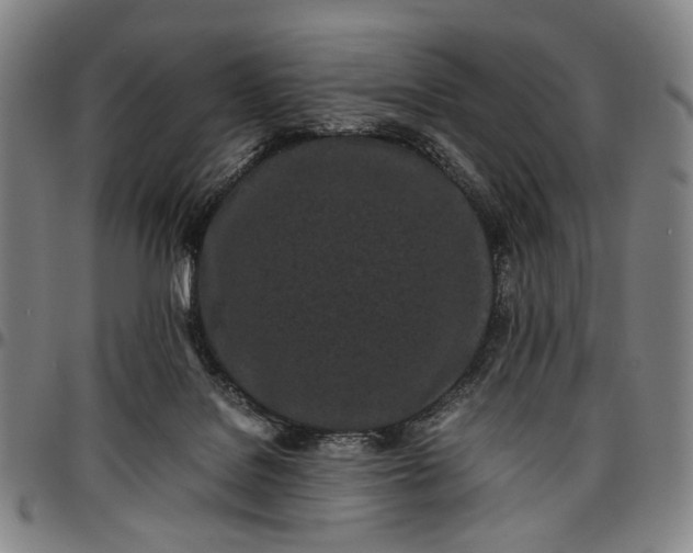 X0000096670076200802191339