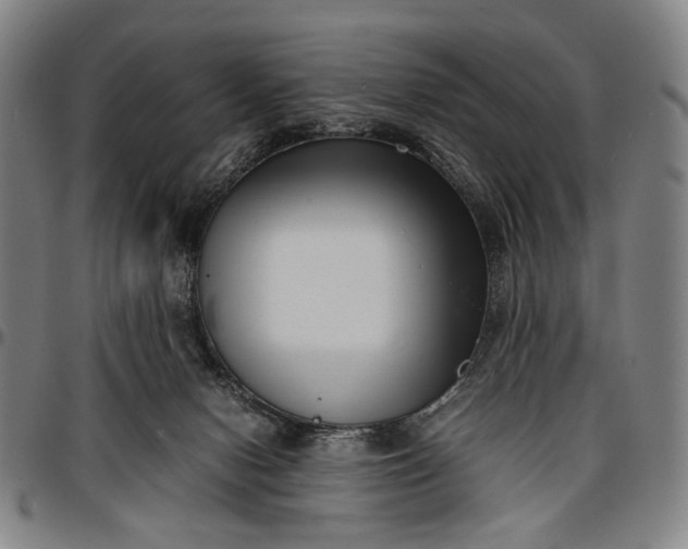 X0000096670078200802191339