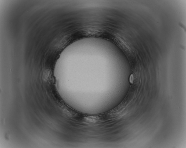 X0000096670079200802191339