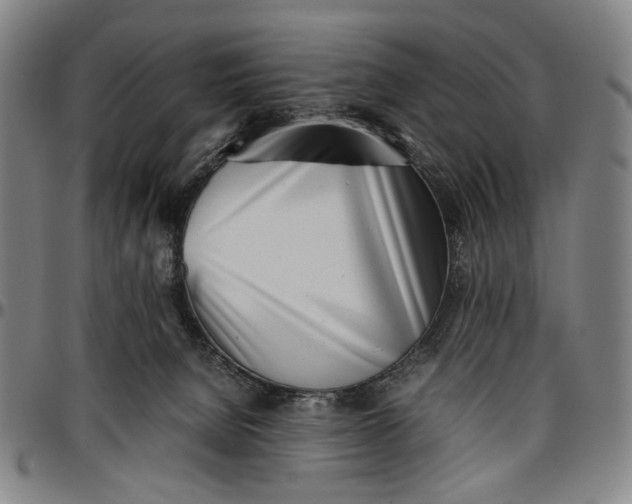 X0000096670080200802191339