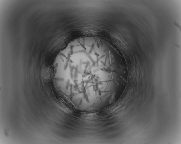 X0000096670081200802191339