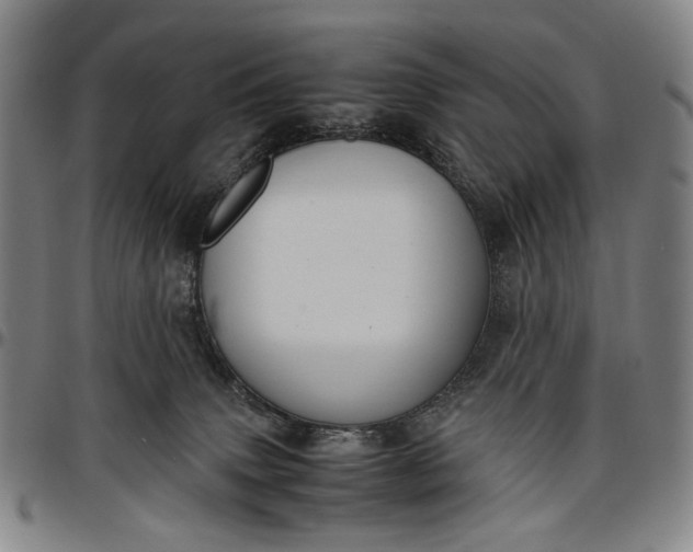 X0000096670083200802191339