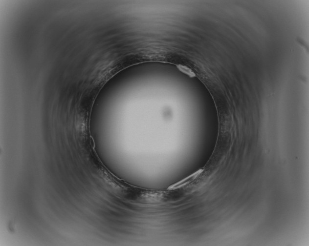 X0000096670084200802191339