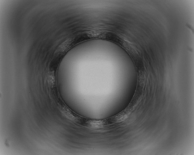 X0000096670085200802191339