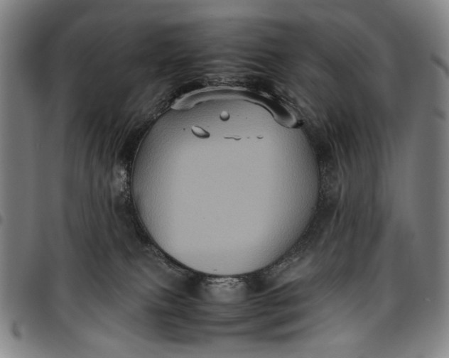 X0000096670087200802191339