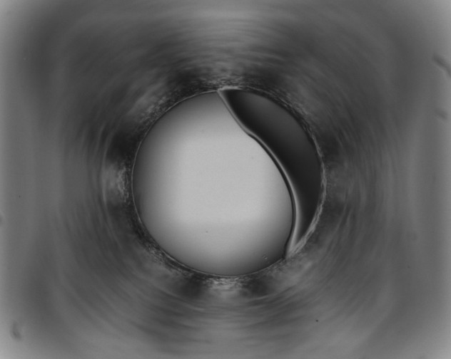 X0000096670088200802191339