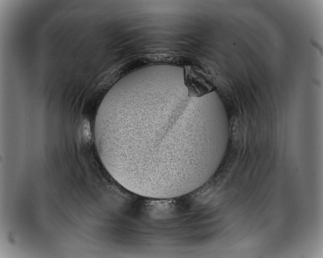 X0000096670089200802191339