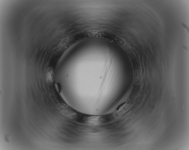 X0000096670090200802191339