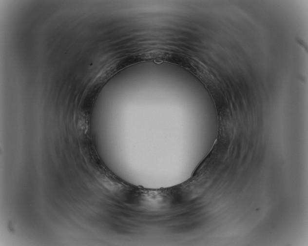 X0000096670091200802191339
