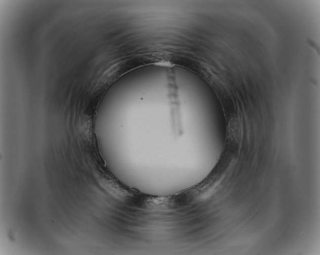 X0000096670092200802191339