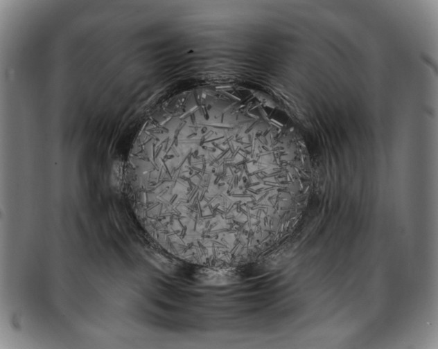 X0000096670093200802191339