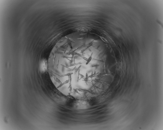 X0000096670095200802191339