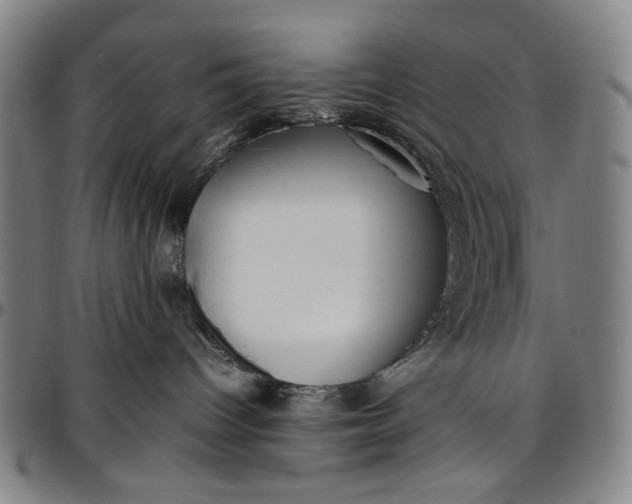 X0000096670096200802191339