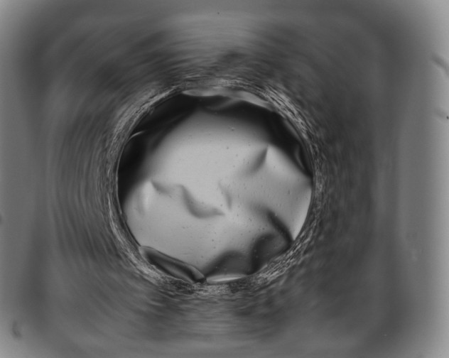 X0000096670097200802191339