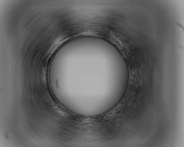 X0000096670098200802191339